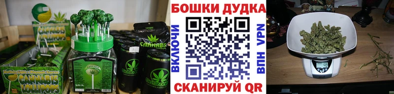 Canna-Cookies марихуана  Купить закладки  Бугуруслан 