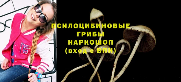 ПСИЛОЦИБИНОВЫЕ ГРИБЫ Нефтегорск
