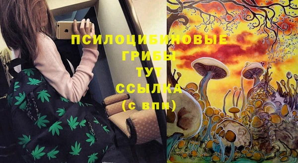 твердый Балабаново
